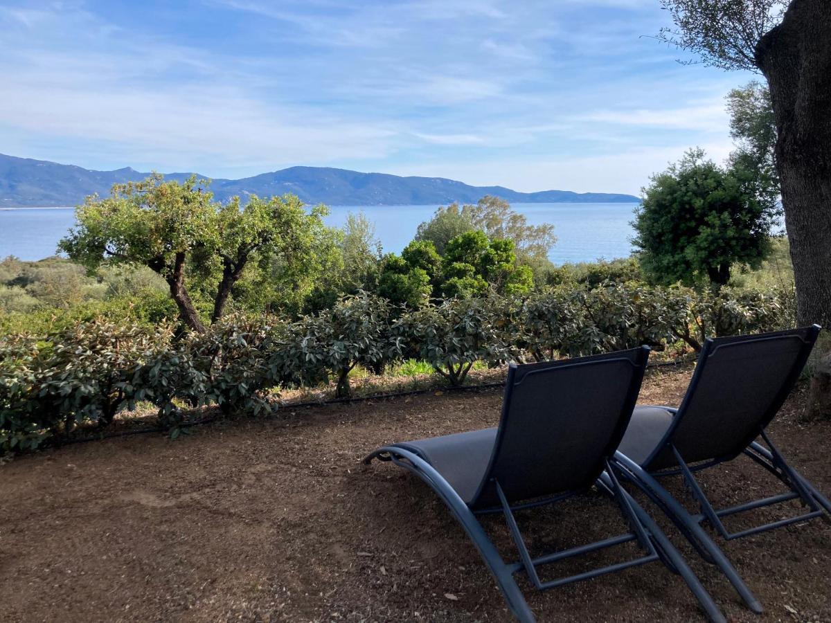 Apartmán Ogliastrello Olmeto  Exteriér fotografie